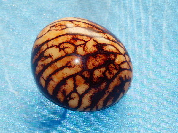 Tagua Palmnuss (Stein-Nüsse) poliert ca. Ø 30-40 mm
