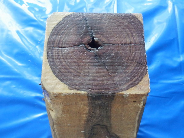 Veilchenholz Stammabschnitt King Wood 140x145x305 mm