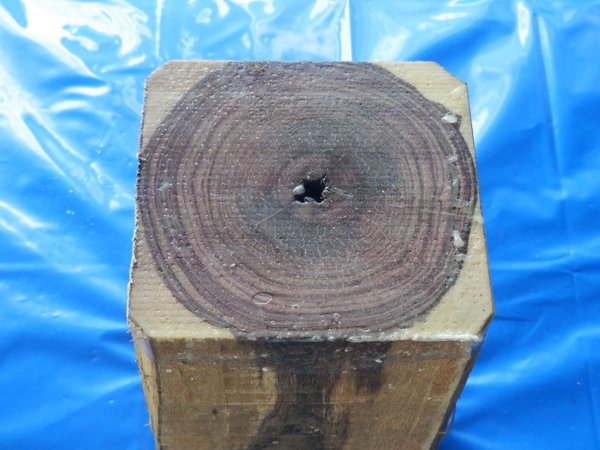Veilchenholz Stammabschnitt King Wood 140x145x305 mm
