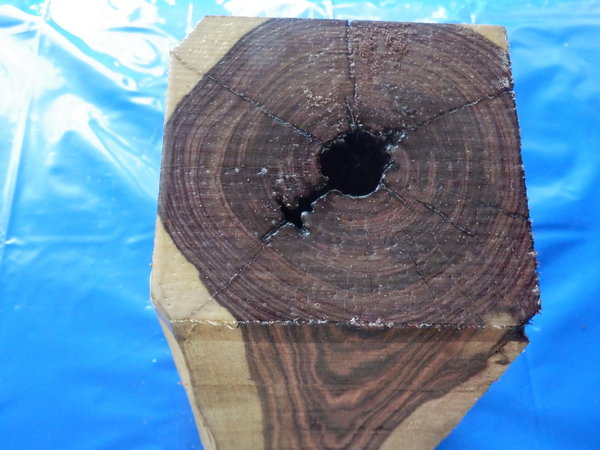 Veilchenholz Stammabschnitt King Wood 420x145x140 mm