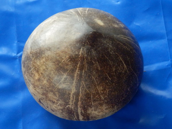 Kokos Becher poliert Ø 10-13 cm Dunkel