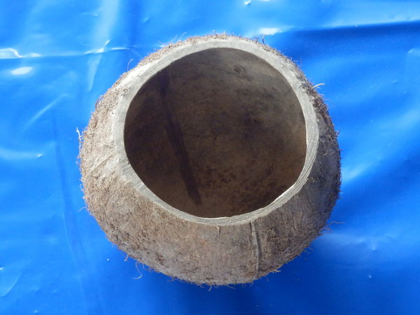 Kokos Becher Ø 10-13 cm